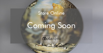 Coming-soon-E-commerce730x380